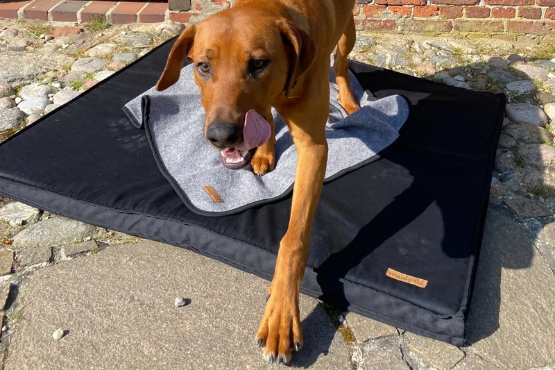 Traumwolke - orthopädische Hundematte aus Baumwolle (antiallergisch + kochfest)
