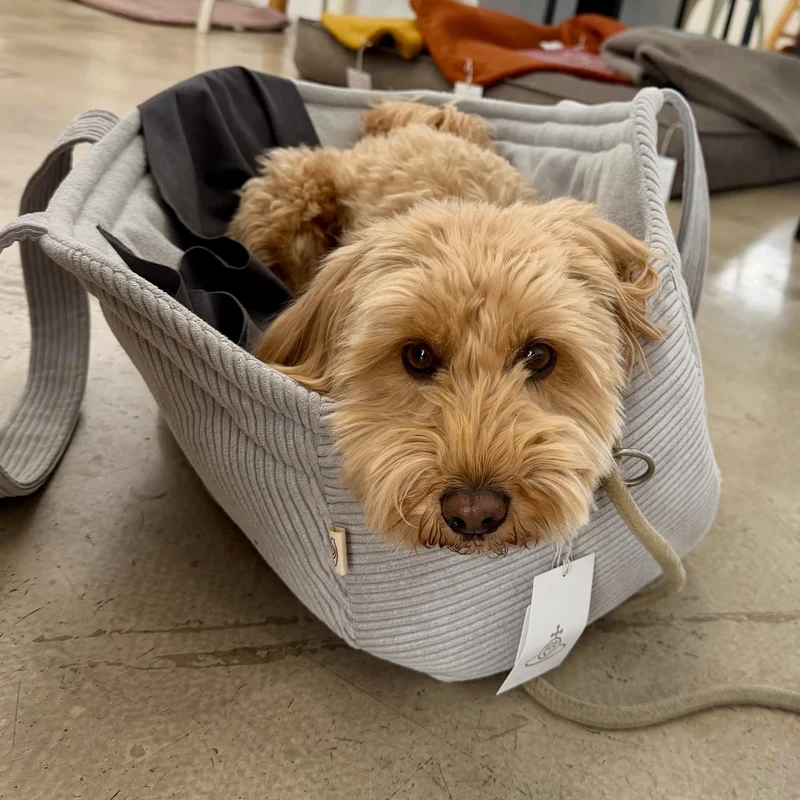 Hundetasche Hiro | bis ca. 9 kg | Beige