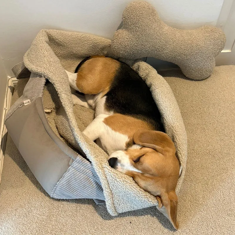 Hundetaschenkörbchen Oki | Beige | XS - L