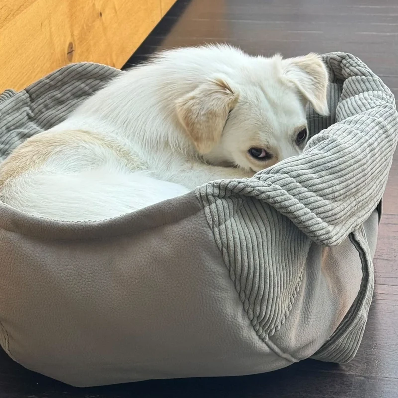 Hundetaschenkörbchen Oki | Taupe | XS - L