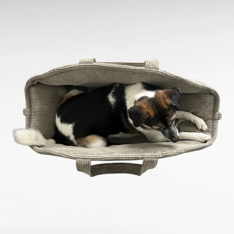 Hundetaschenkörbchen Oki | Taupe | XS - L