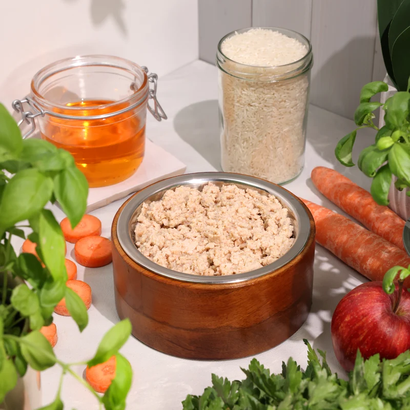 Bio-Diätfutter bei allergischen Erkrankungen für Hunde