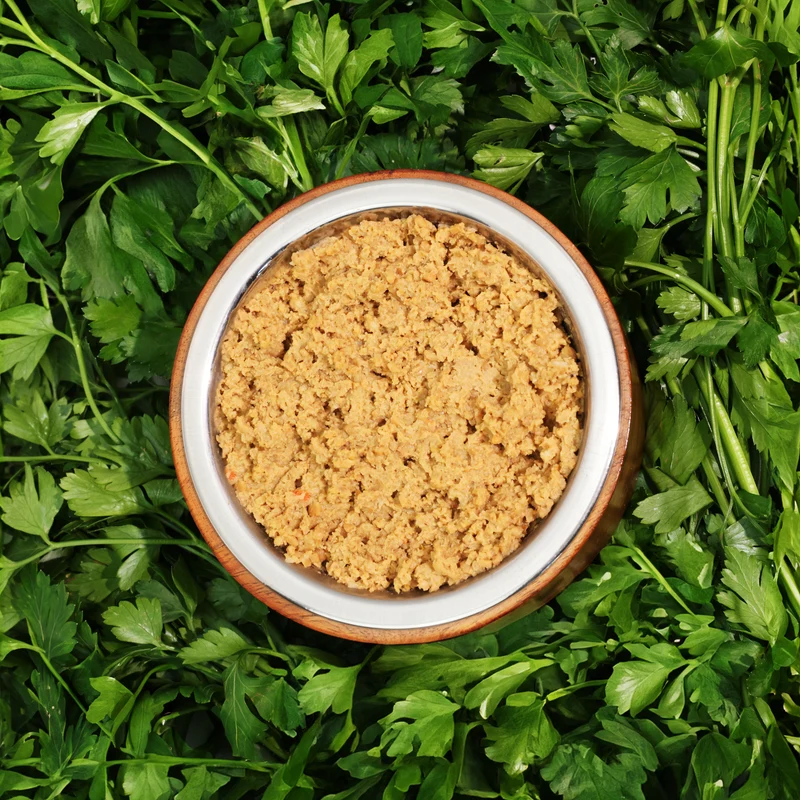 Bio-Feuchtfutter - Vegan, Reis & Karotten für Hunde