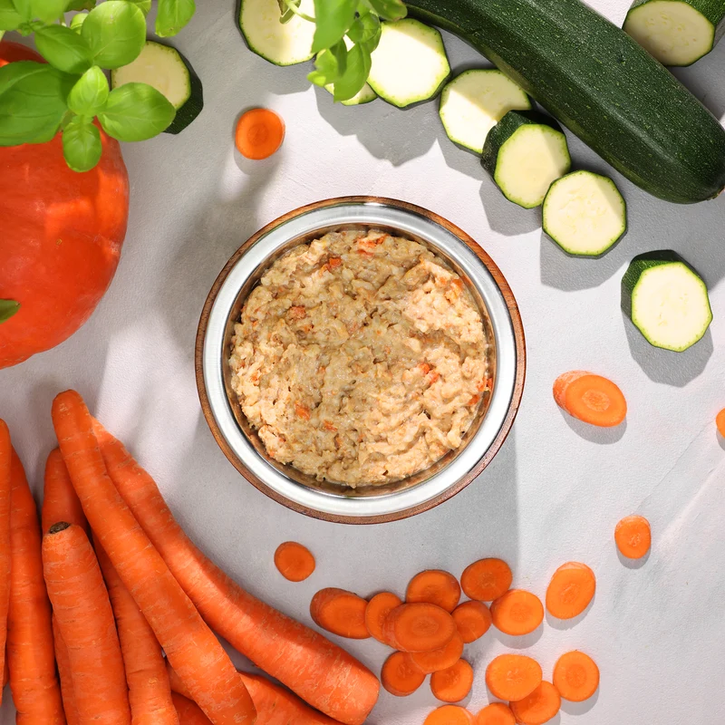 Bio-Alleinfutter - Lachs, Reis & Karotten für Hunde