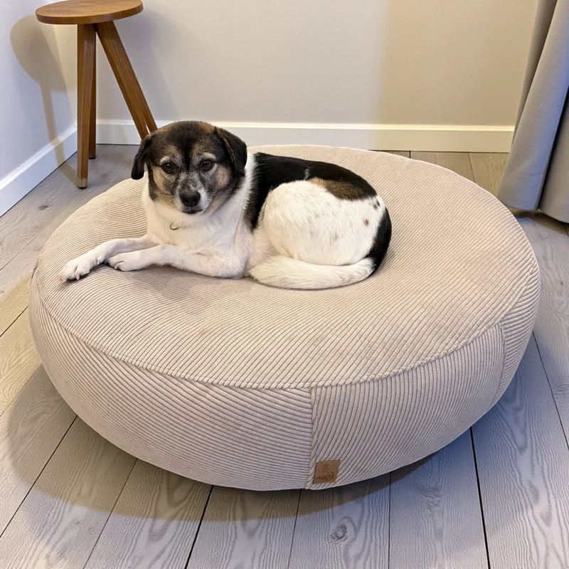 Special Edition | Hundebett Yoa | Comfy Corduroy