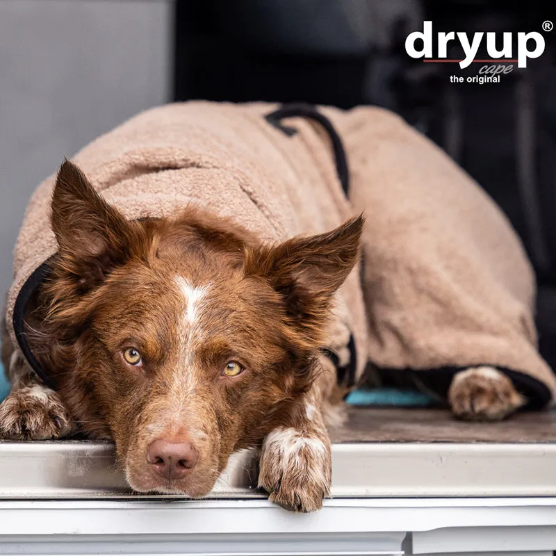 DRYUP cape | Hundebademantel - für große Hunde (Gr. L bis XXL)