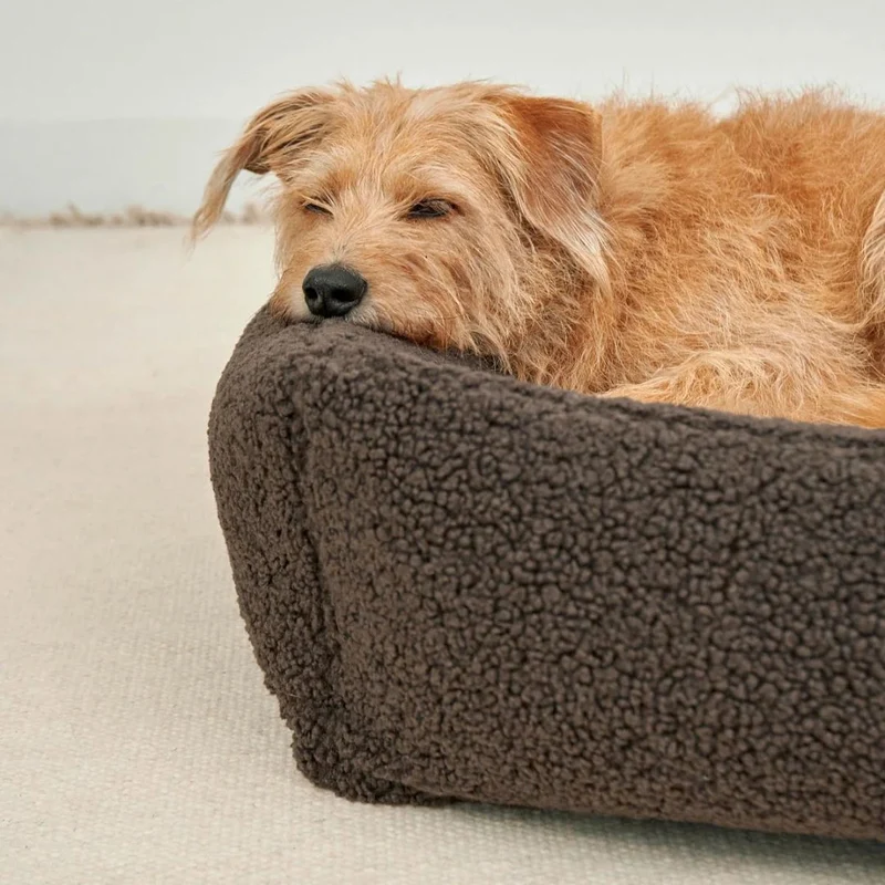 Senso Hundebett Schokolade