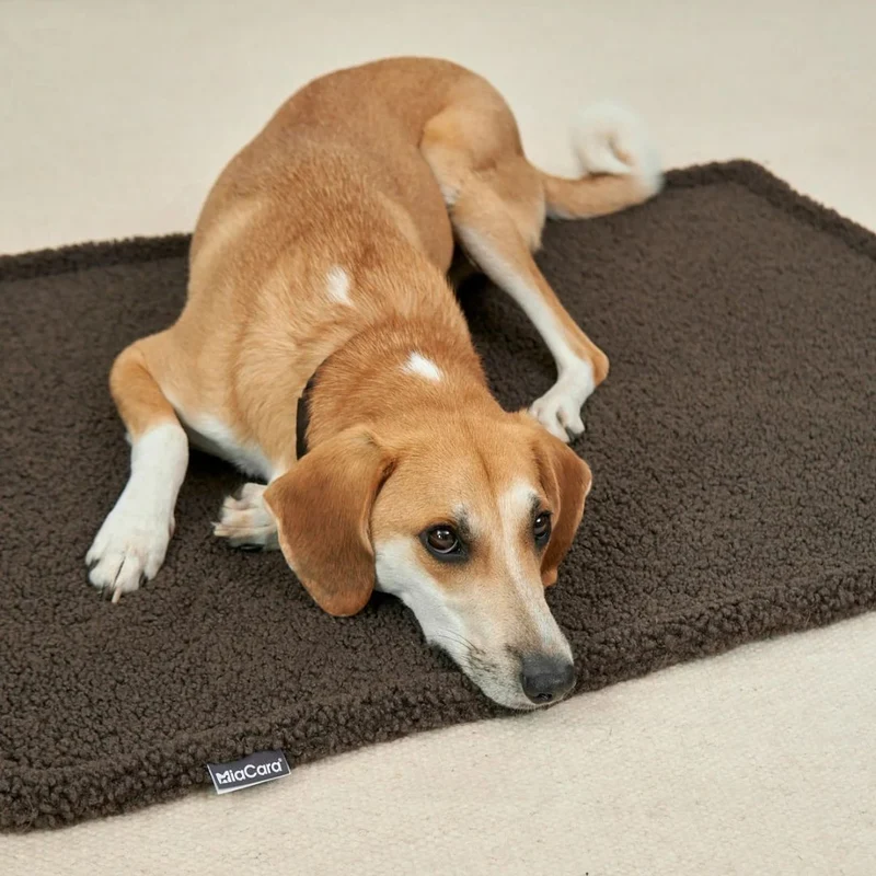 Senso Hundedecke Schokolade