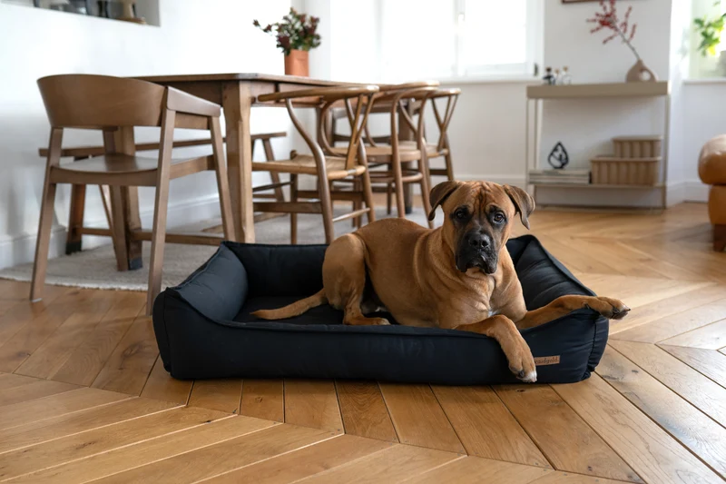 Schlummerwiese - orthopädisches Hundebett aus Baumwolle (antiallergisch + kochfest)