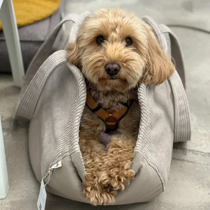 Hundetaschenkörbchen Oki | Beige | XS - L