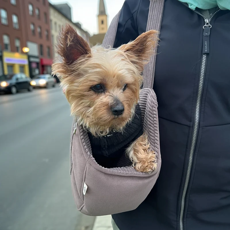Hundetasche Mika | Hundetragetasche & Körbchen bis 5 kg | Taupe