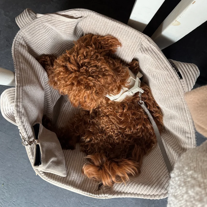 Hundetasche Mika | Hundetragetasche & Körbchen bis 5 kg | Beige