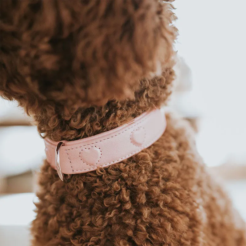HUNTER - Halsband Soho X Love | stylisches Hundehalsband
