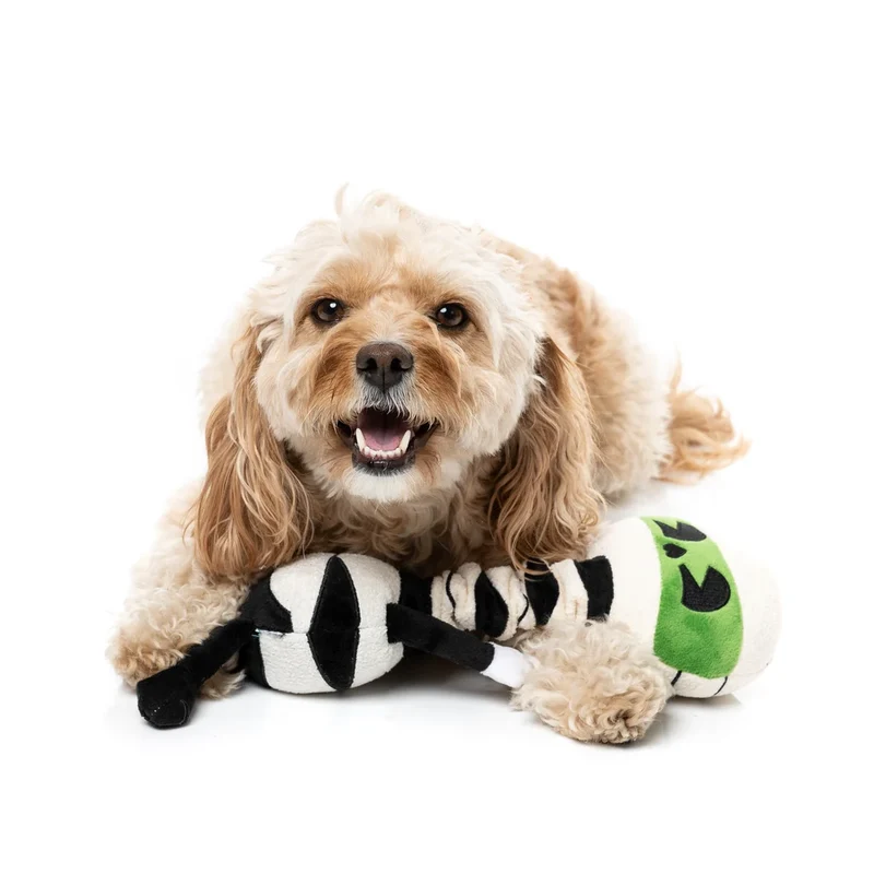 Hundespielzeug Halloween Rick Wrapsley