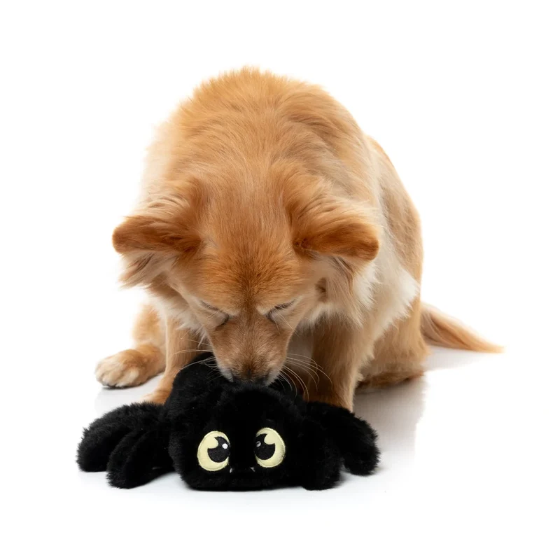 Hundespielzeug Halloween Webastian the Red Back