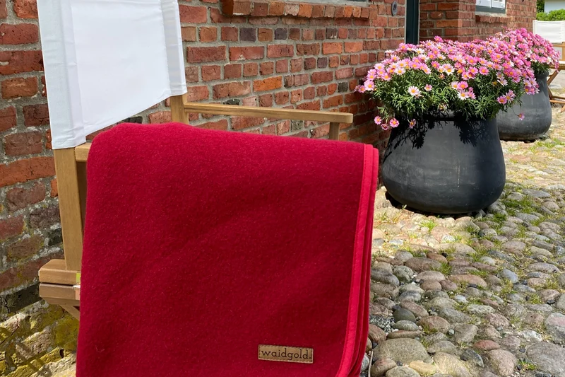waidgold® Hundedecke Himmelsblick aus 100 % Loden