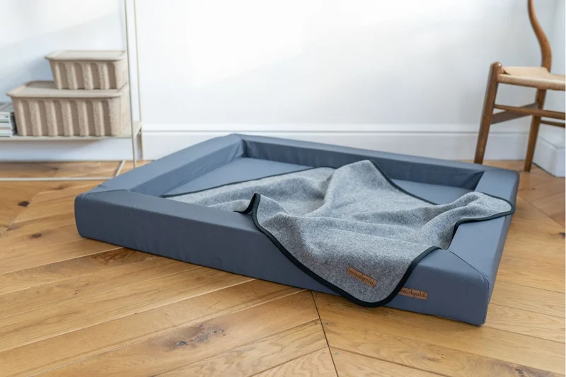 waidgold® Hundedecke Himmelsblick aus 100 % Loden