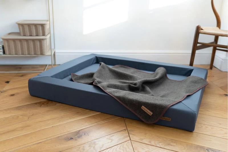 waidgold® Hundedecke Himmelsblick aus 100 % Loden