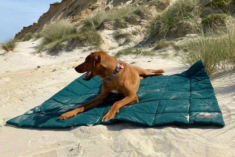 waidgold® Hundedecke Wiesenliebe aus Baumwolle (OEKO-TEX® Standard 100)
