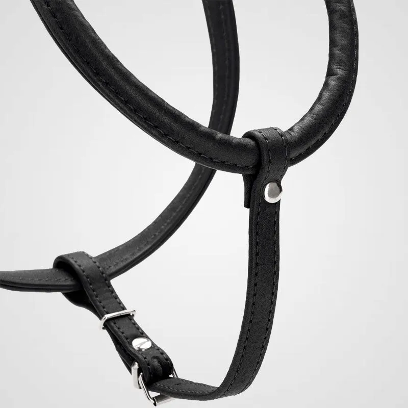 HUNTER - Geschirr Round & Soft Canadian Up | stylisches Hundegeschirr