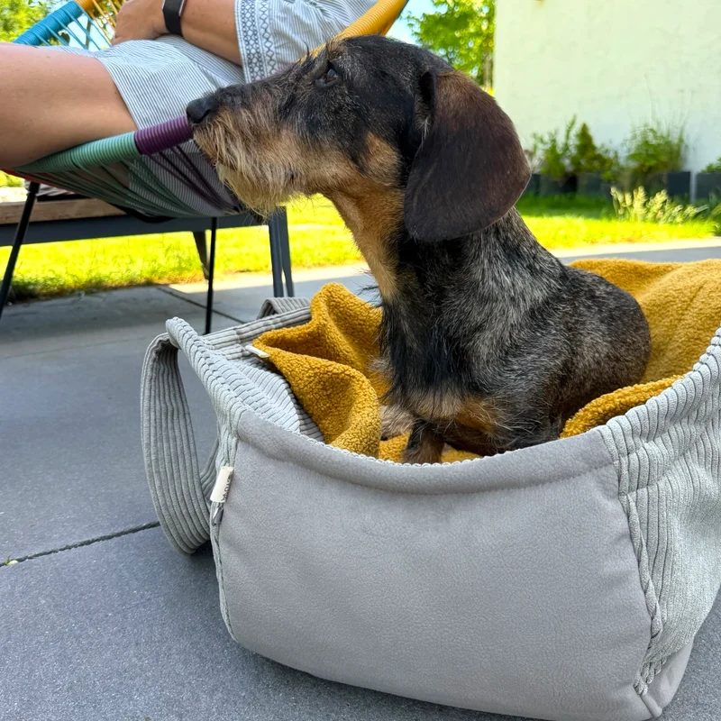 Hundetaschenkörbchen Oki | Light Oliv | XS - L