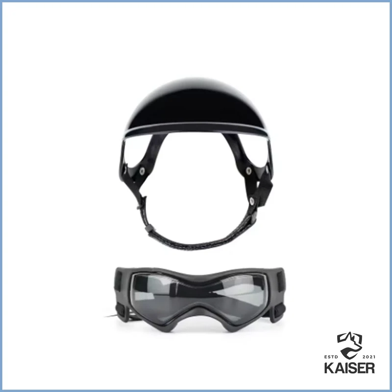 Motorradhelm für Hunde + Schutzbrille
