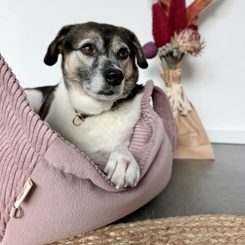 Hundetaschenkörbchen Oki | Dusty Rose | XS - L