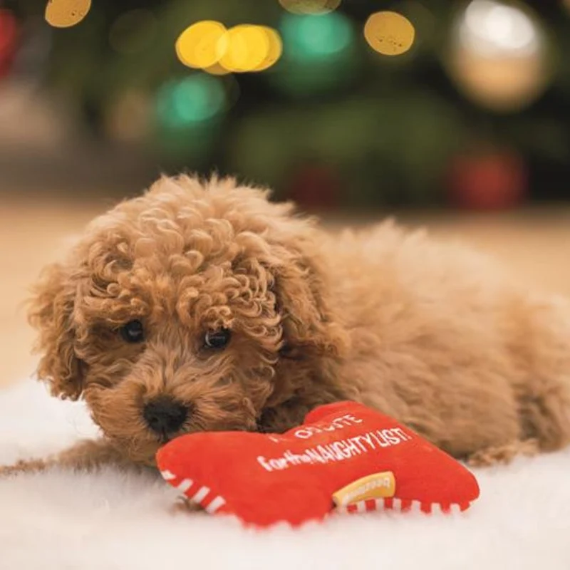 Hundespielzeug Weihnachtsknochen
