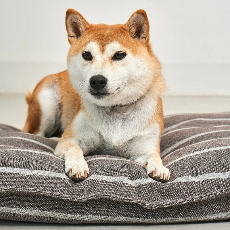 Riga Hundekissen Slim Schokolade/Greige