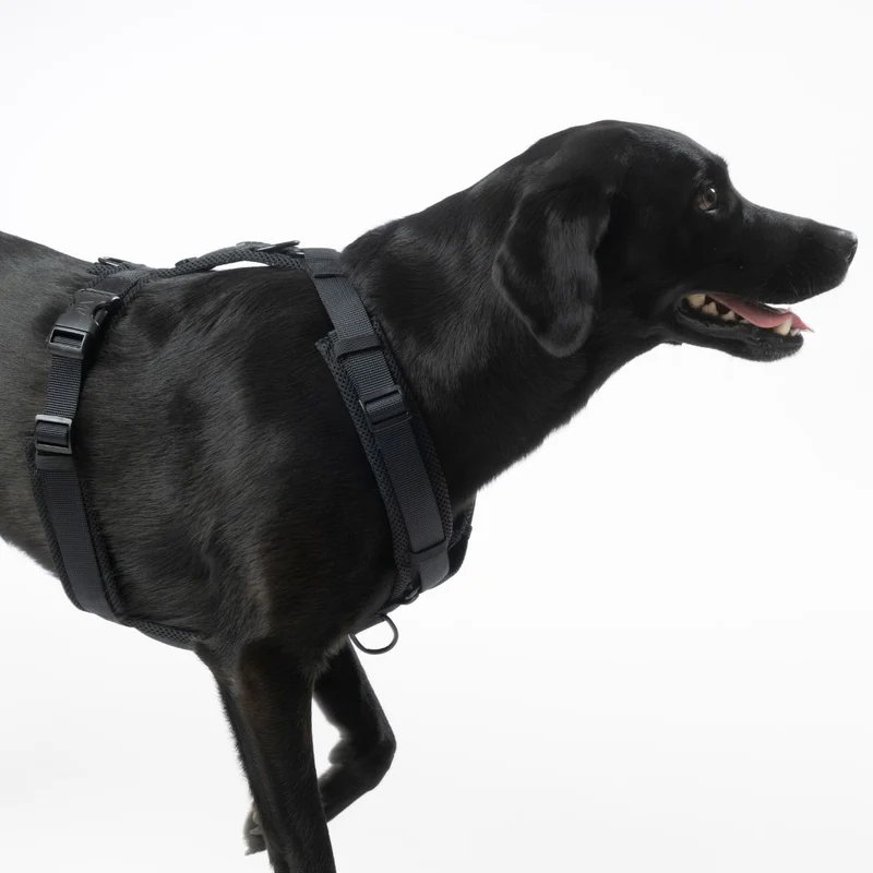Y-Hundegeschirr Nova Black