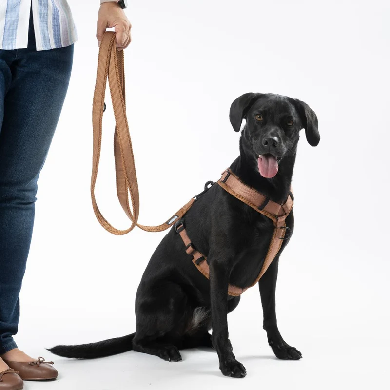 Y-Hundegeschirr Nova Cognac