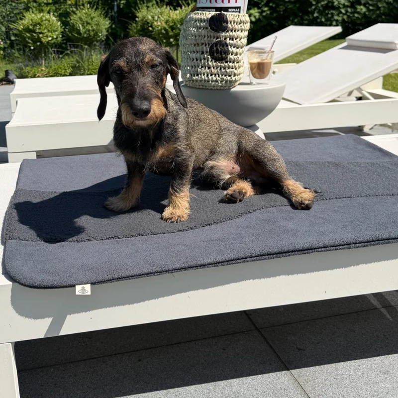 Hundedecke Oto | Anthrazit