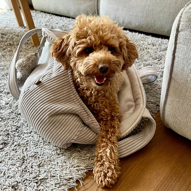 Hundetasche Emi | bis 5 kg | Hellgrau