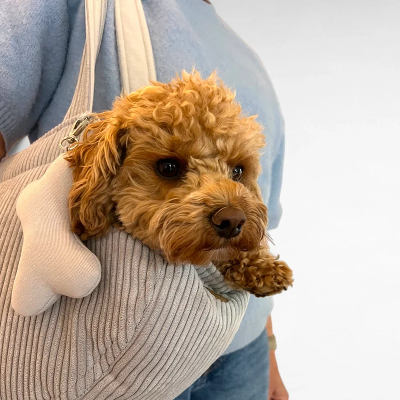 Hundetasche Emi | bis 5 kg | Hellgrau