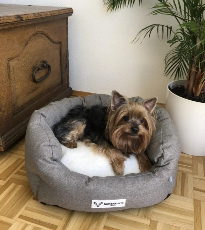 B-Ware: PDB2089, Hunde-Körbchen Bequem Weich, Wendekissen Waschbar Hundekorb Hundebett mit Komfort-Polsterung, S/M/L, grau beige braun...