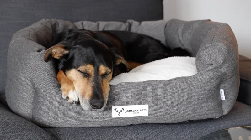 B-Ware: PDB2089, Hunde-Körbchen Bequem Weich, Wendekissen Waschbar Hundekorb Hundebett mit Komfort-Polsterung, S/M/L, grau beige braun...