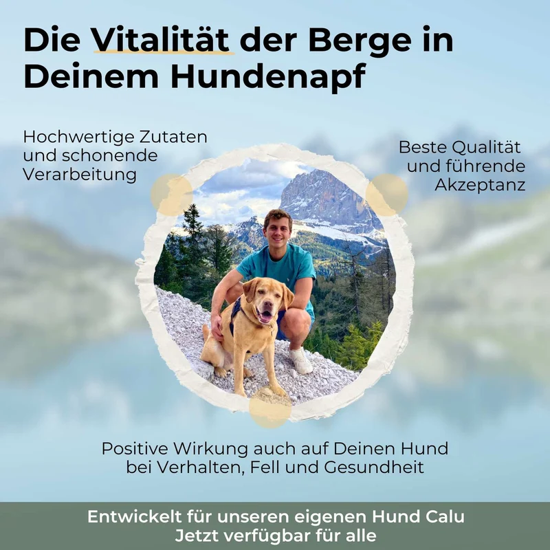 Insekten mit Kartoffeln & Erbsen - hypoallergenes Hundefutter