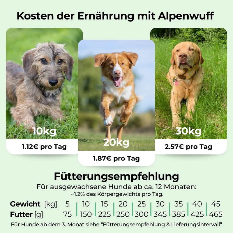 Insekten mit Kartoffeln & Erbsen - hypoallergenes Hundefutter