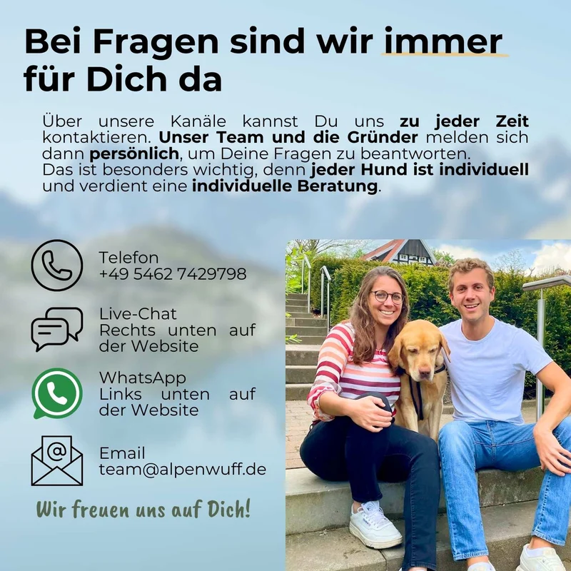 Insekten mit Kartoffeln & Erbsen - hypoallergenes Hundefutter