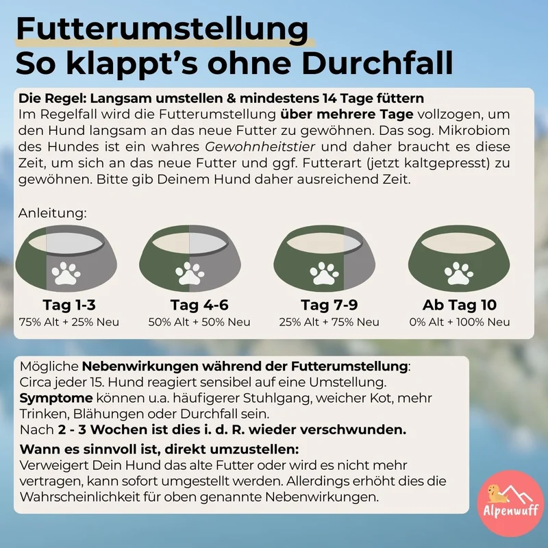 Insekten mit Kartoffeln & Erbsen - hypoallergenes Hundefutter