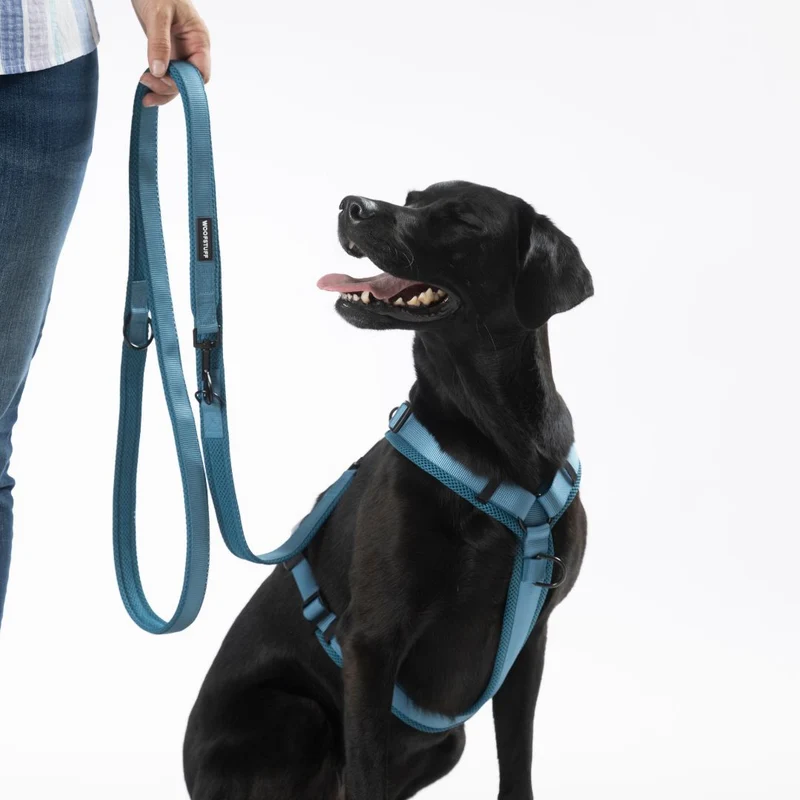 Y-Hundegeschirr Nova Petrol