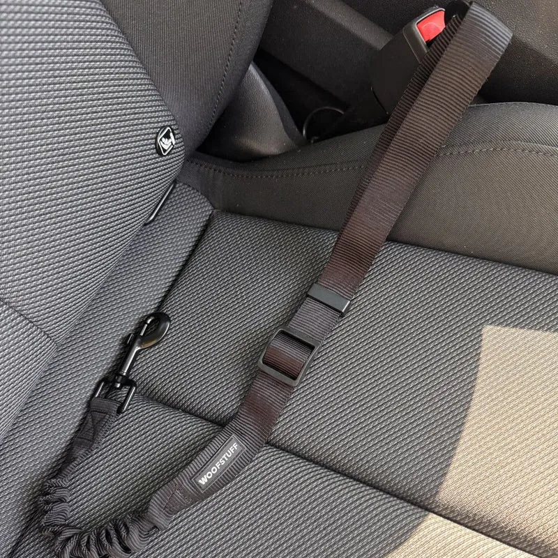 Auto-Sicherheitsgurt Roadie mit Expander