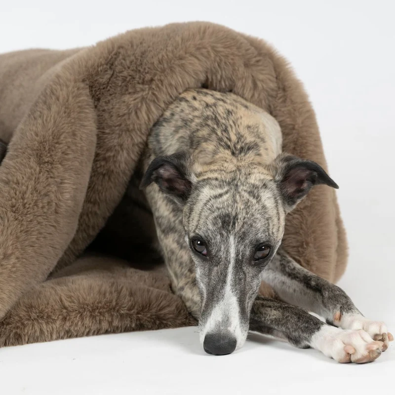 Kuschelschlafsack Fluffy Taupe