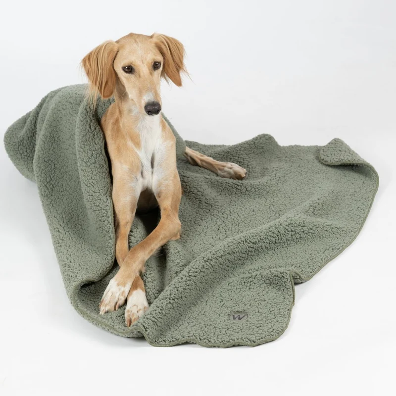 Hundedecke Teddy Soft Olive