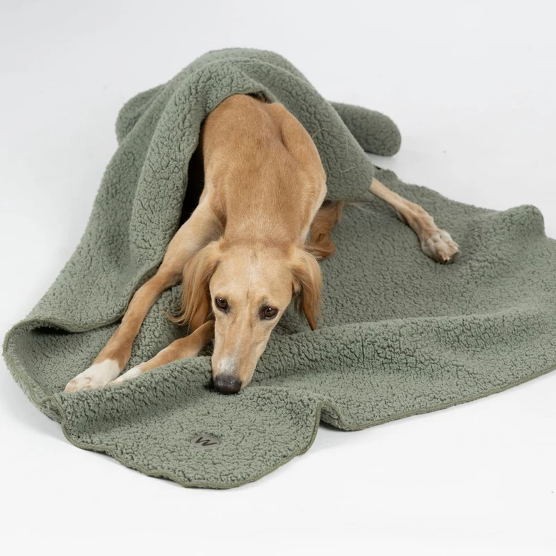 Hundedecke Teddy Soft Olive