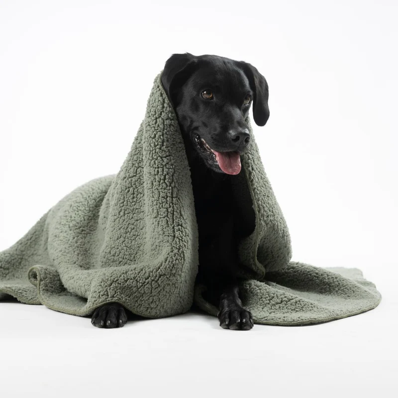 Hundedecke Teddy Soft Olive