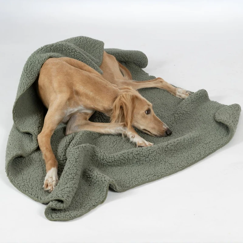 Hundedecke Teddy Soft Olive