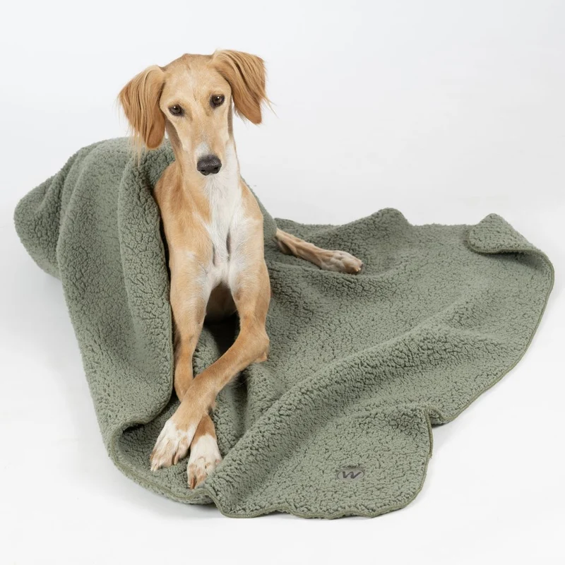 Hundedecke Teddy Soft Olive