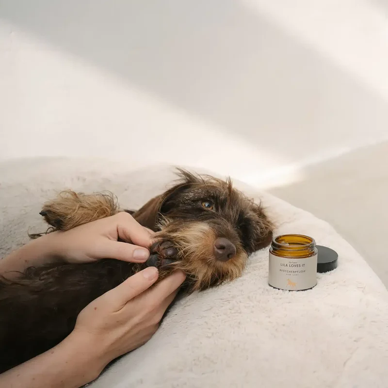 LILA LOVES IT x WOOFSTUFF Pfötchenpflege