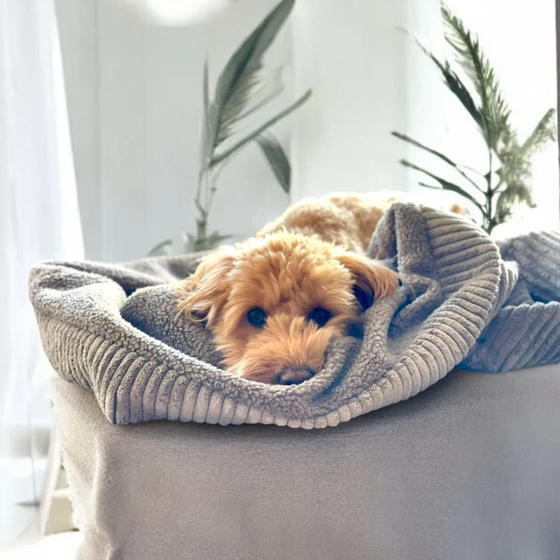 Hundeschlafsack Ono | Cozy Cord Fusion